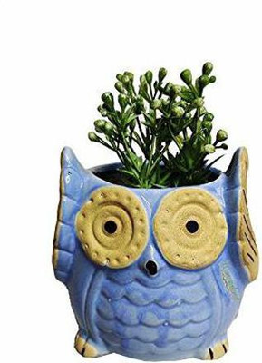 WONDERLAND Owl Ceramic Planter (Light Blue) Plant Container Set(Ceramic)