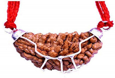 NAVYAKSH Original Nepali 1 Mukhi Original with Lab Certificate One Face Rudraksha Wood