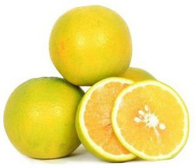 Qualtivate Mosambi Citrus Limetta Seed(30 per packet)