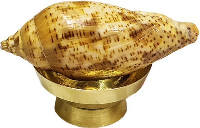 AIKAANT Sacred Brown Puja Shankh with Brass Stand Katori | Pooja Shankh from Dwarka | Pujan Shank + Brass Bowl Sacred, Decorative Shankh