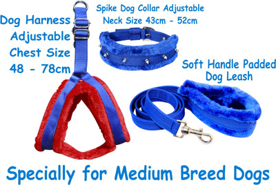 BODY BUILDING Dog Belt Combo of Fur Padded Red Blue Dog Harness with Blue Spike Dog Collar & Leash Specially for Medium Breeds Dog Harness & Leash(Medium, Blue)