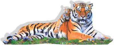 Jump up 88 cm Tigress with Cub on the floor Self Adhesive Sticker(Pack of 1)