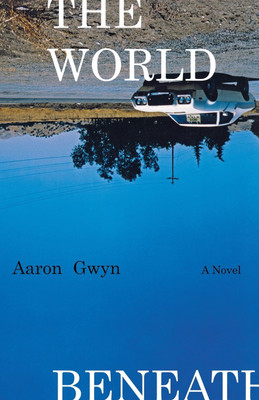 The World Beneath(English, Paperback, Gwyn Aaron)