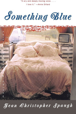 Something Blue(English, Paperback, Spaugh Jean Christopher)