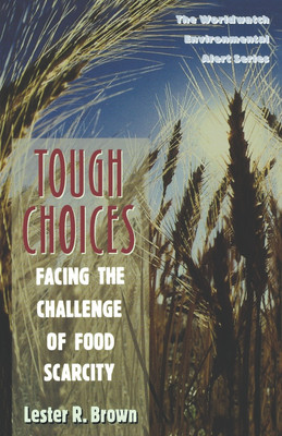 Tough Choices(English, Paperback, Brown Lester R.)