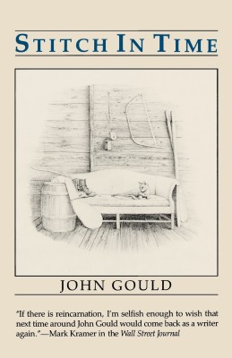 Stitch in Time(English, Paperback, Gould John)