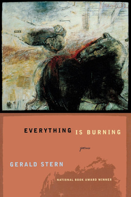 Everything Is Burning(English, Paperback, Stern Gerald)