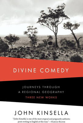 Divine Comedy(English, Paperback, Kinsella John)