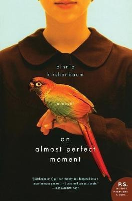 An Almost Perfect Moment(English, Paperback, Kirshenbaum Binnie)