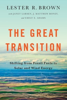 The Great Transition(English, Paperback, Brown Lester R.)