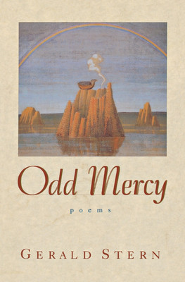 Odd Mercy(English, Paperback, Stern Gerald)