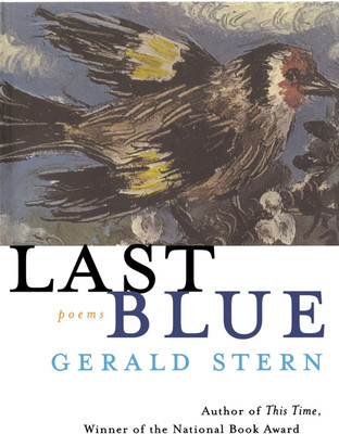 Last Blue(English, Paperback, Stern Gerald)
