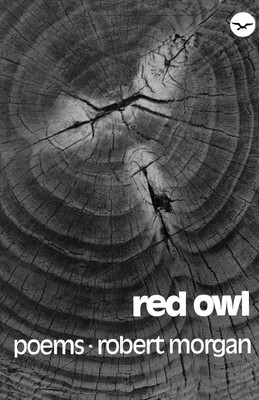 Red Owl(English, Paperback, Morgan Robert)