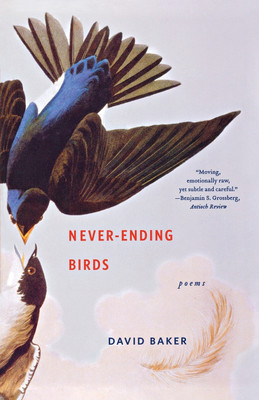 Never-Ending Birds(English, Paperback, Baker David)