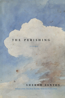 The Perishing(English, Paperback, Santos Sherod)