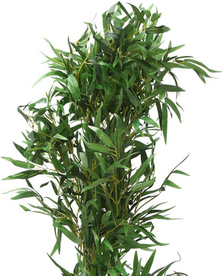 Bee Green Two Layer Bamboo Plant(Hybrid, Pack of 1)