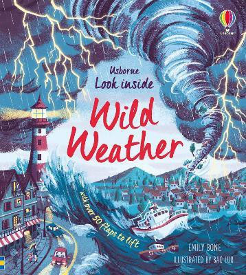 Look Inside Wild Weather(English, Board book, Bone Emily)