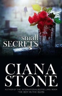 Small Secrets(English, Paperback, Stone Ciana)