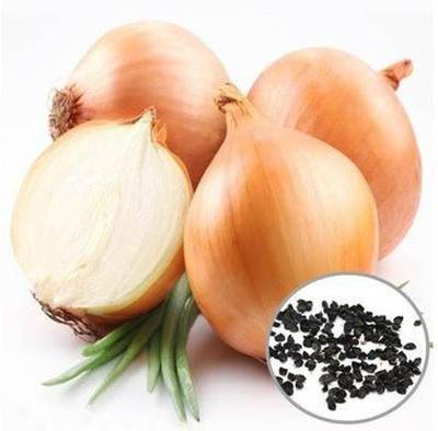 MKR Enterprises Onion Seed(75 per packet)