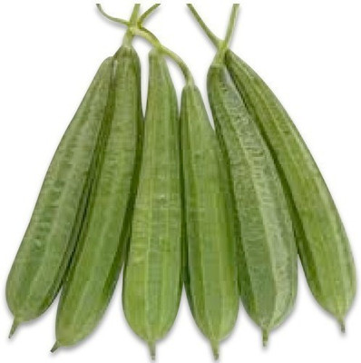 Gromax India Spong Gourd Seeds Seed(40 per packet)