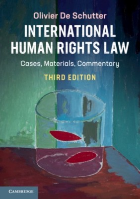 International Human Rights Law(English, Paperback, De Schutter Olivier)