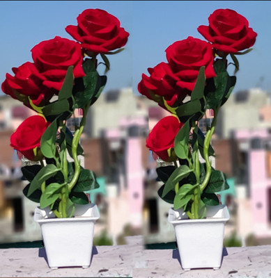 zonezer Set of 2 Best for Home SHop Office Decoration Or Gift. Red Rose Artificial Flower  with Pot(12 inch, Pack of 2, Flower with Basket)