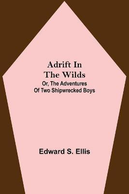Adrift in the Wilds; Or, The Adventures of Two Shipwrecked Boys(English, Paperback, S Ellis Edward)