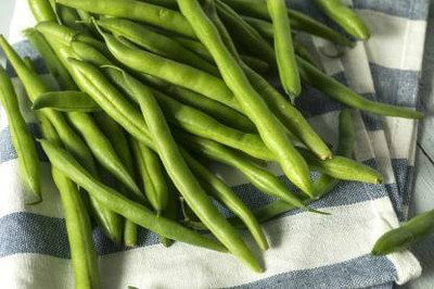 Chalisa Phaseolus vulgaris, Bean Seed Seed(58 per packet)