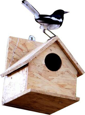 AMIJIVDAYA ROBINE BIRD HOME Window Bird Feeder Bird Feeder(Yellow)