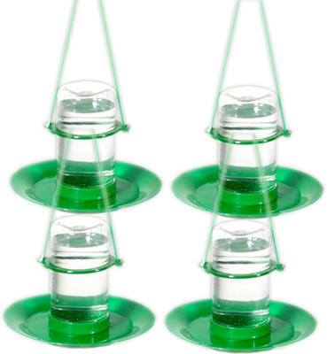 AMIJIVDAYA Small water feeder (pack of 4) Window Bird Feeder Bird Feeder(Green)