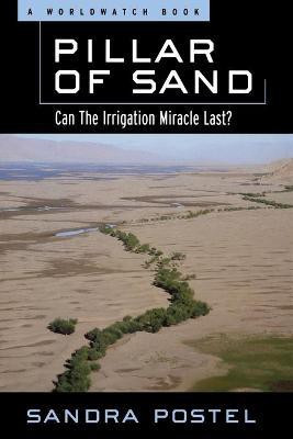 Pillar of Sand(English, Paperback, Postel Sandra)
