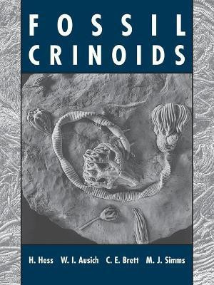 Fossil Crinoids(English, Paperback, Hess Hans)