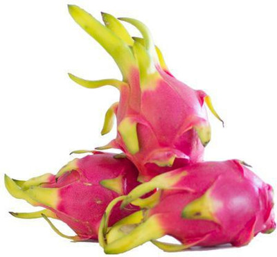 rmd Dragon Fruit Seed(25 per packet)