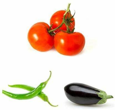 Kenware brinjal, tomato, chilli seeds Seed(40 per packet)
