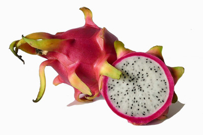 XOLDA Dragon Fruit Seed(15 per packet)