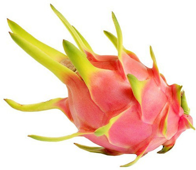 XOLDA Dragon Fruit Seed(15 per packet)