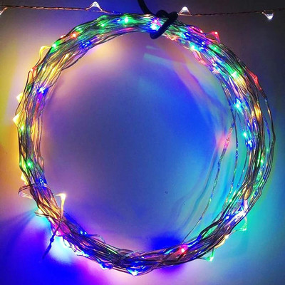Ascension 60 LEDs 7 m Multicolor Steady String Rice Lights(Pack of 1)