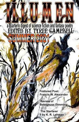 Illumen Summer 2021(English, Paperback, unknown)