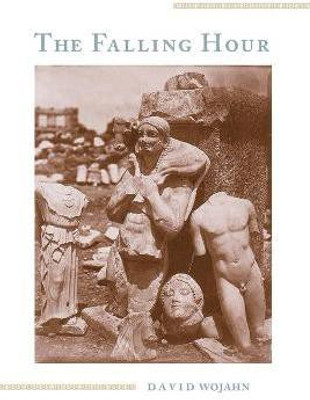 Falling Hour, The(English, Paperback, Wojahn David)