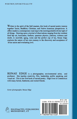 The Infinite Heart(English, Paperback, Edge Renae Diane)