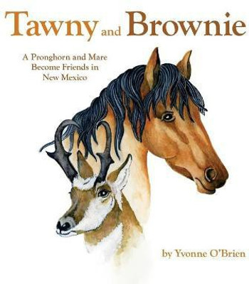 Tawny and Brownie(English, Paperback, O'Brien Yvonne C)