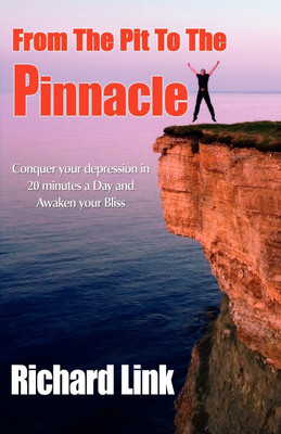 From the Pit to the Pinnacle(English, Paperback, Link Richard Attorney)