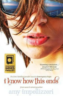 I Know How This Ends(English, Paperback, Impellizzeri Amy)