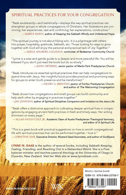 Joy Together(English, Paperback, Baab Lynne M.)