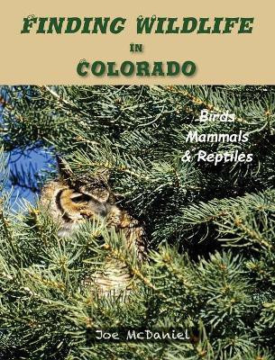 Finding Wildlife In Colorado(English, Hardcover, McDaniel Joe G)