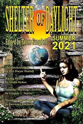 Shelter of Daylight Summer 2021(English, Paperback, unknown)