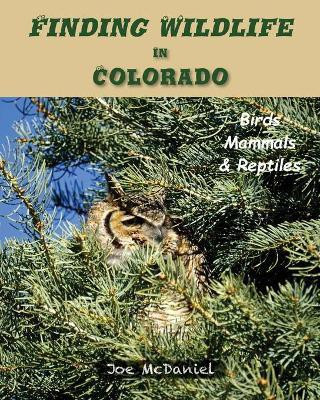 Finding Wildlife In Colorado(English, Paperback, McDaniel Joe G)