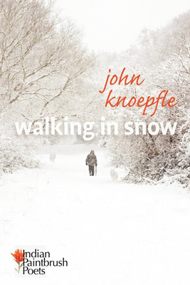 Walking in Snow(English, Paperback, Knoepfle John)
