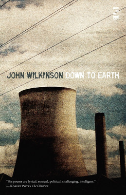 Down to Earth(English, Paperback, Wilkinson John Mr)