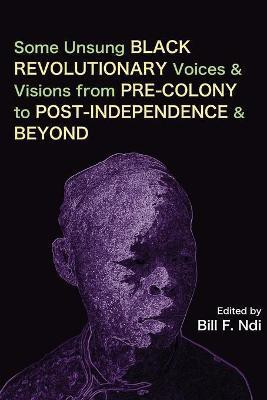 Some Unsung Black Revolutionary Voices and Visions from Pre-Colony to Post-Independence and Beyond(English, Paperback, unknown)